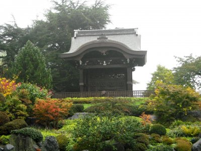 Kew Garden - japonská zahrada