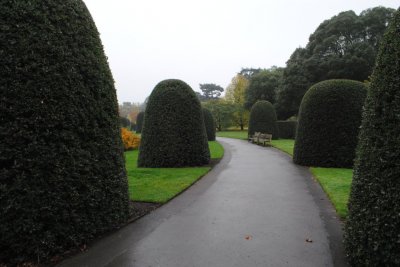 Kew Garden - perfektní sestřih